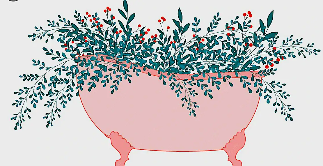 Pink bathtub filled with greenery.
