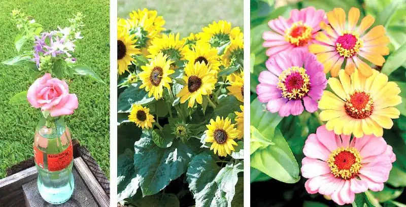 Colorful flowers in three arrangements