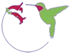 Colorful hummingbird with flowers design