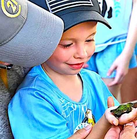 Child holding a hummingbird gently.