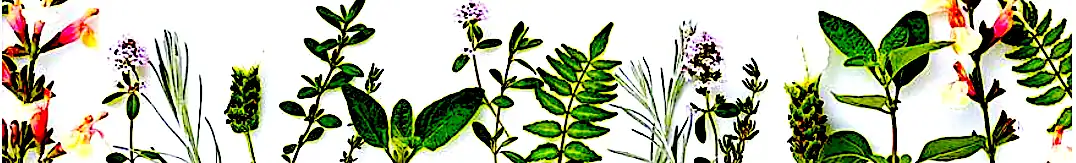 Various green plants and flowers.